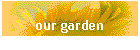 our garden