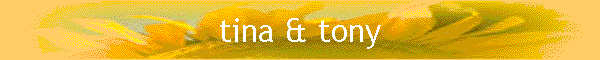 tina & tony